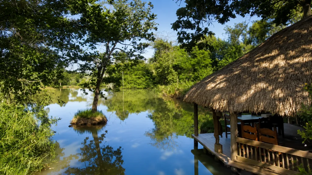 Muringa Farm, notre camp de base