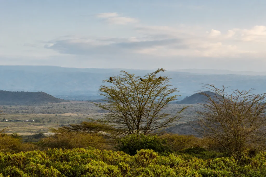 Les paysages kenyans, au fil du séjour