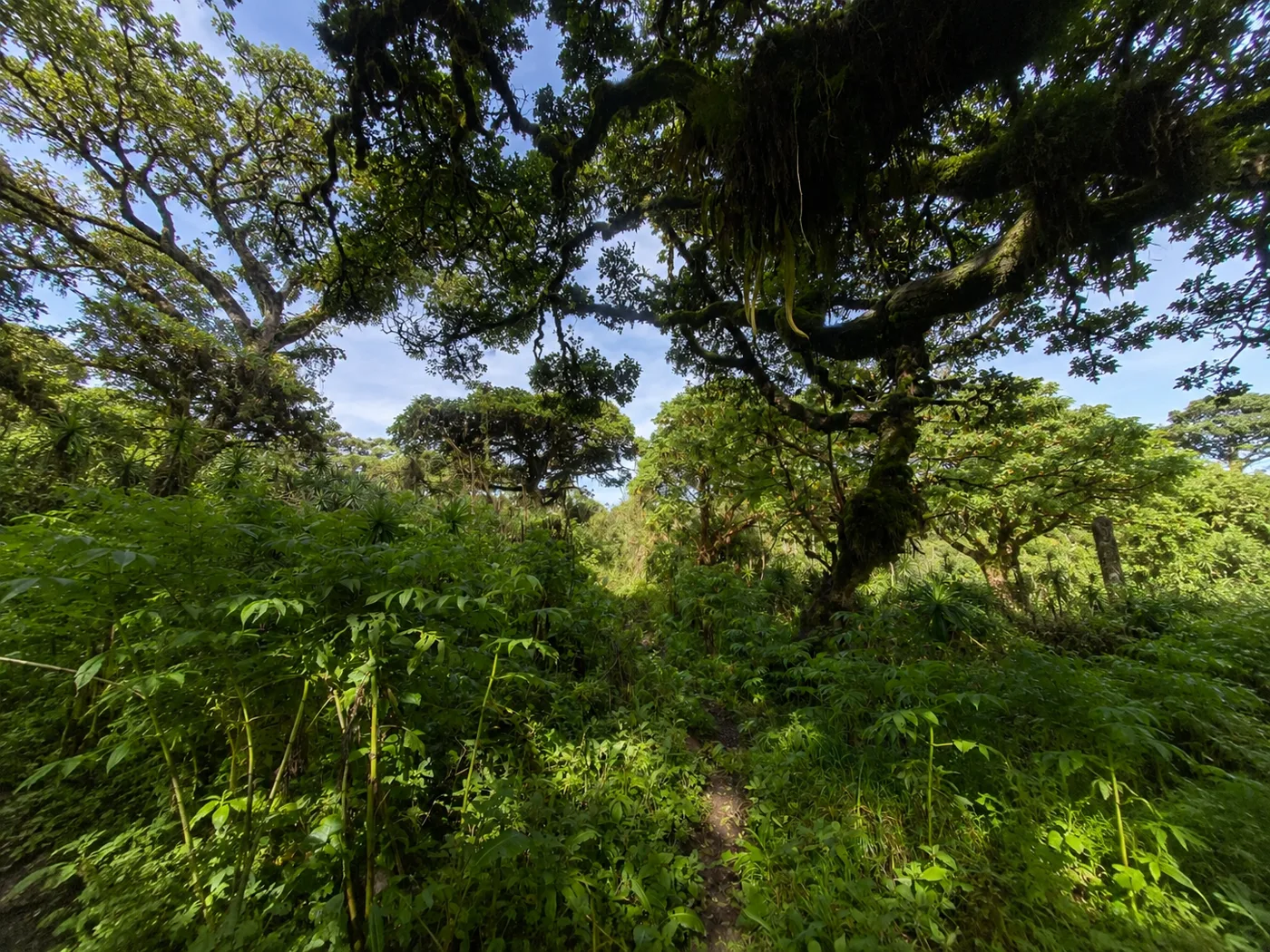 Le Mont Kinangop